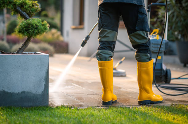 Best Pressure Washing Company Near Me  in Feather Sound, FL